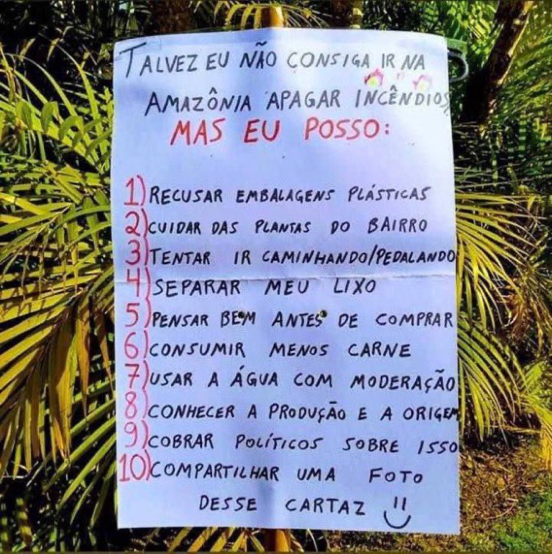Importante recomendações por um mundo melhor!!!