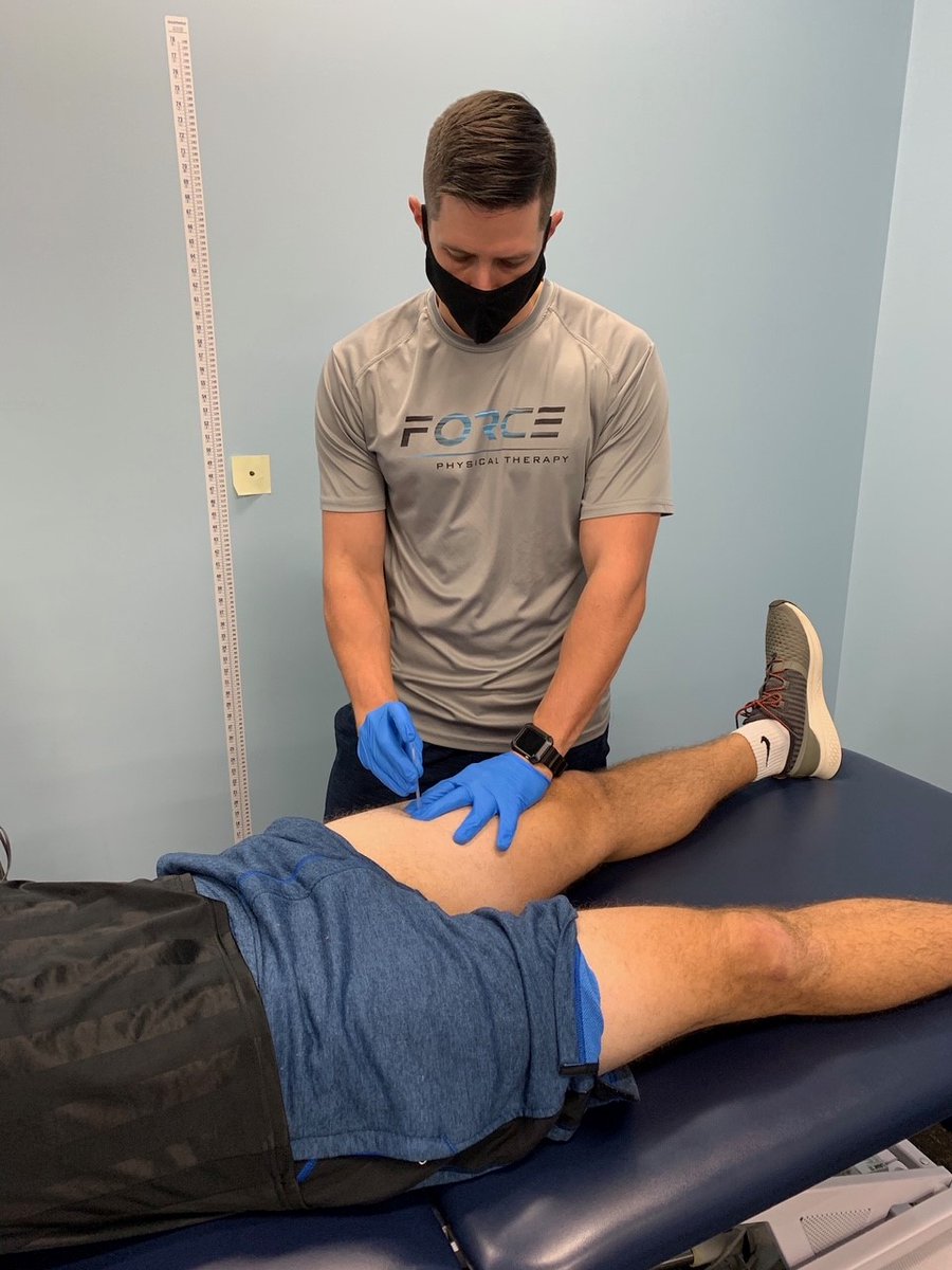 Looking for Dry Needling Training in FL? conta.cc/3xopGLj