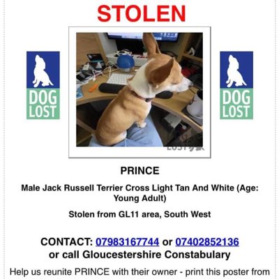 #NewProfilePic owners appeal 
#GloucestershireConstabulary
PRINCE IS STILL #MISSING!How about a press release helping us to find him?Great news about Moth found wandering in #EVESHAM now pls help us find our dog who was also taken at the same time! 
doglost.co.uk/dog-blog.php?d…