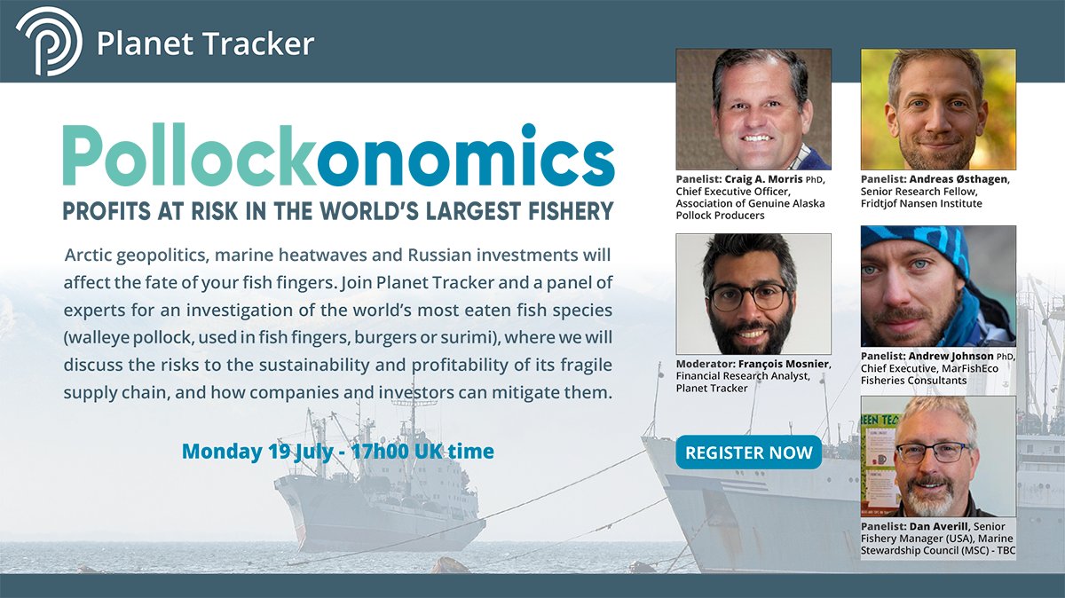 Join us on Monday 19th July at 5pm GMT for a presentation of Pollockonomics, a new report investigating the #supplychain of one of the world’s most popular, sustainable and profitable fish species: walleye pollock. Register now 👉finnpartners.zoom.us/webinar/regist… #fisheries