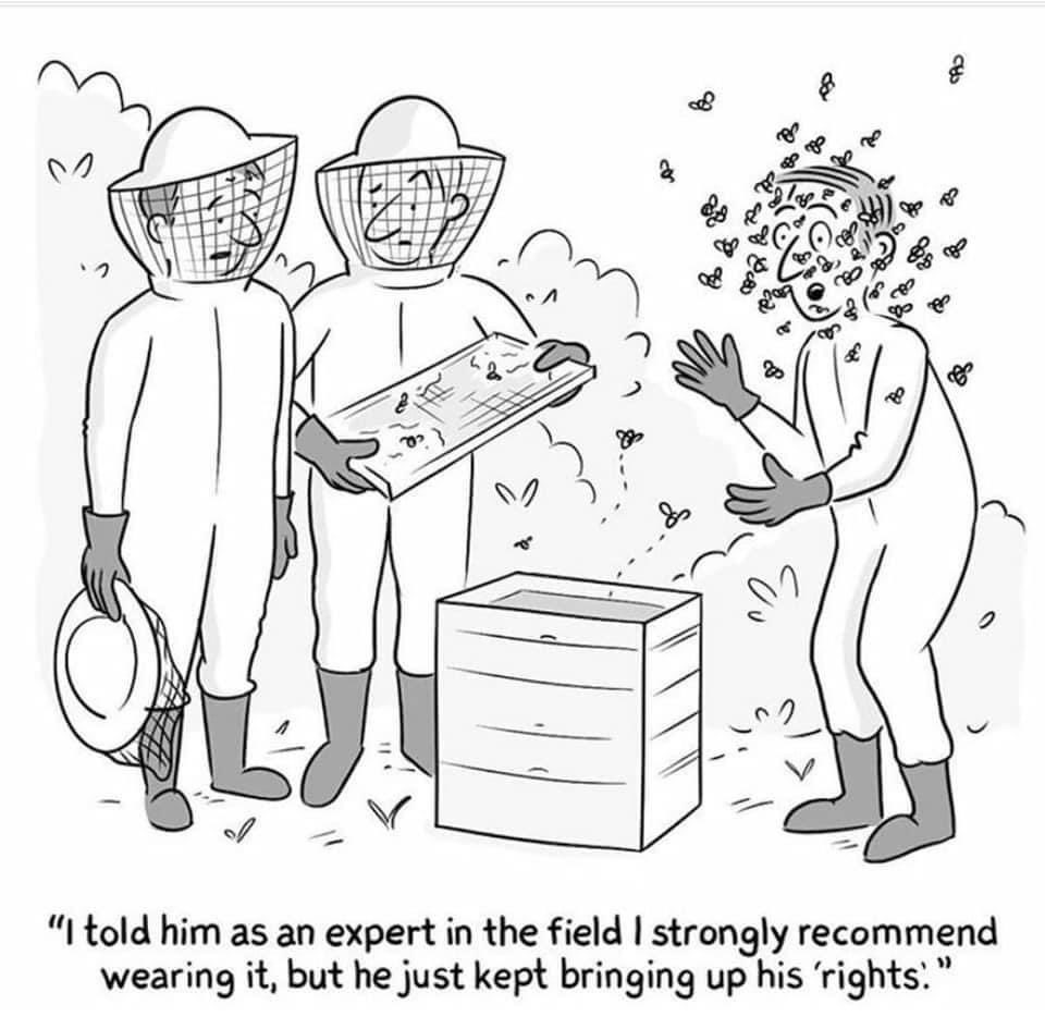 twcarey's tweet image. 