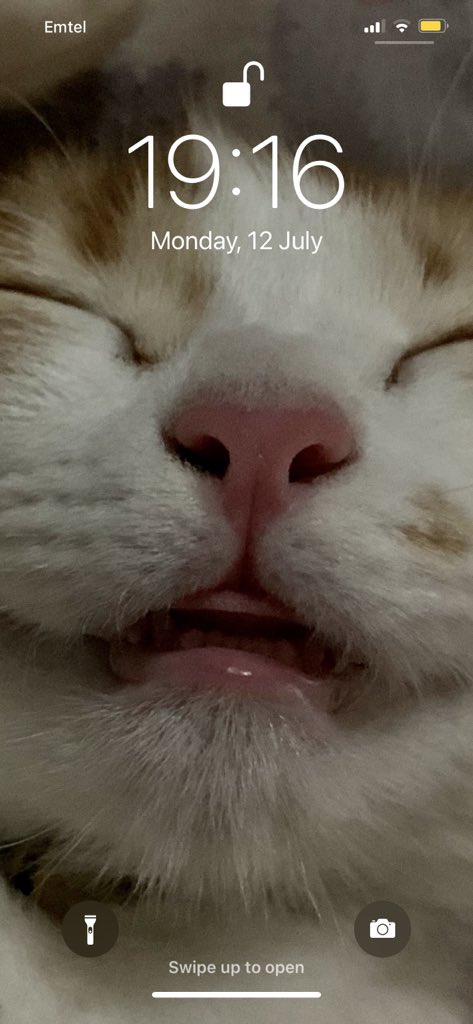 maxinencn's tweet photo. Goodnight 😴 here’s a picture of my Bloo to brighten your night ✨ https://t.co/3yaDIS9CYN