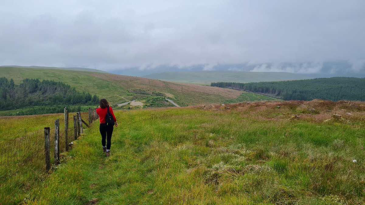 StuartRamsay39's tweet photo. Good wee walk from Cairnhead to one of Andy Goldsworthy's Striding Arches on Colt Hill. Weather not the best but it is a Scottish summer after all!! @ScotsMagazine @DGWGO @VisitScotland #stridingarches #moniaive #scotspirit #landscape #Scotland #landscapephotography https://t.co/lvvbMrXWHq