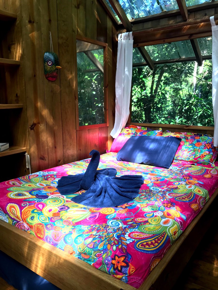 rolandsgardenGH's tweet photo. ¿Buscas un lugar perfecto para tu fin de semana?
Lo encuentras en #Guanaja, ven y visita #RolandsGardenGuesthouse en el caribe de #Honduras. https://t.co/wKs4oLbbsw