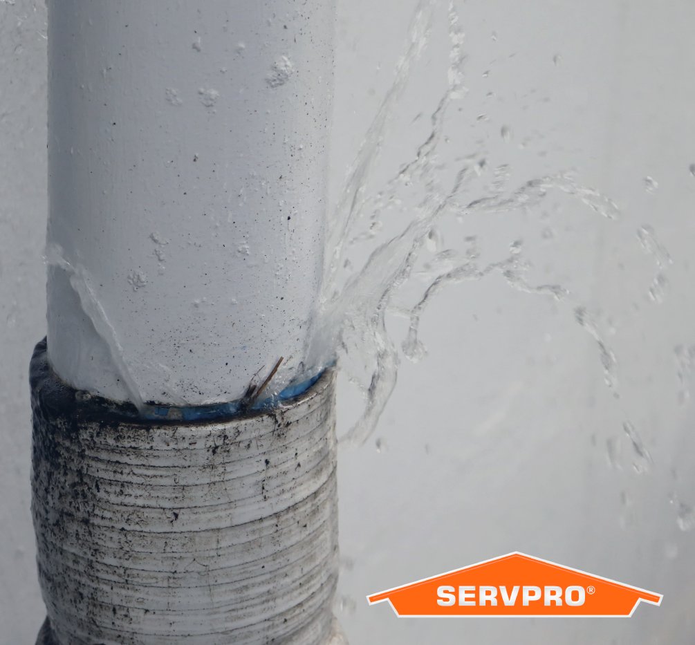 Water damages can come from leaky pipes, roof leaks, the buildup in poor ventilation, and even unattended spills. To prevent mold growth in these areas, it’s best to fix the root of  problem as quickly as possible.