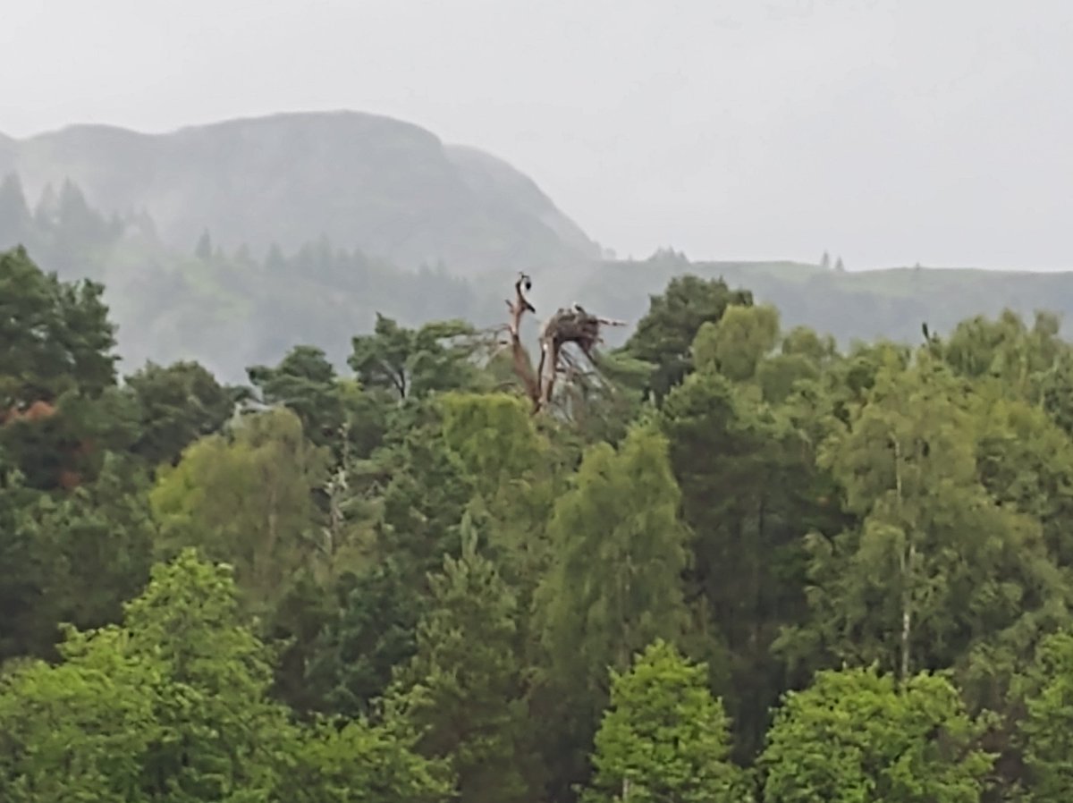 GolspieMill's tweet photo. Some times the best thing about the mill is being away from it. A lovely week exploring Perthshire slow time. Recharged and ready to go again tomorrow.
#backtothegrindstone
#millerjokes https://t.co/5qoZD0ZY4Z