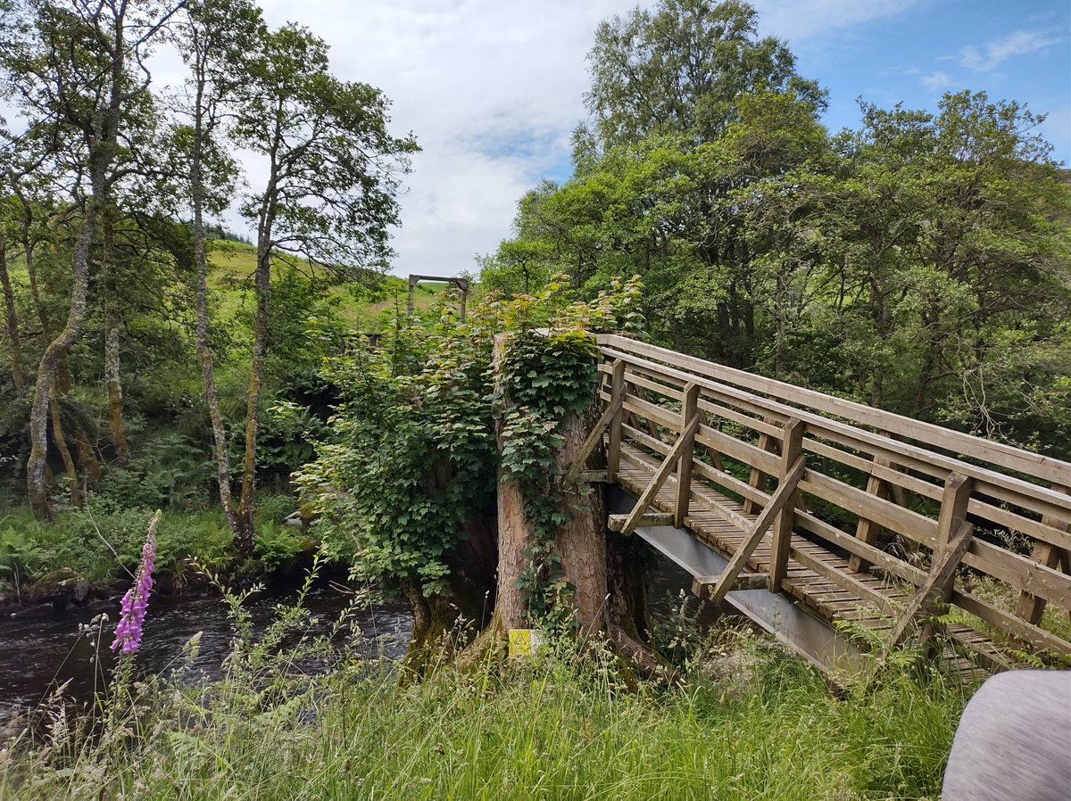 GolspieMill's tweet photo. Some times the best thing about the mill is being away from it. A lovely week exploring Perthshire slow time. Recharged and ready to go again tomorrow.
#backtothegrindstone
#millerjokes https://t.co/5qoZD0ZY4Z