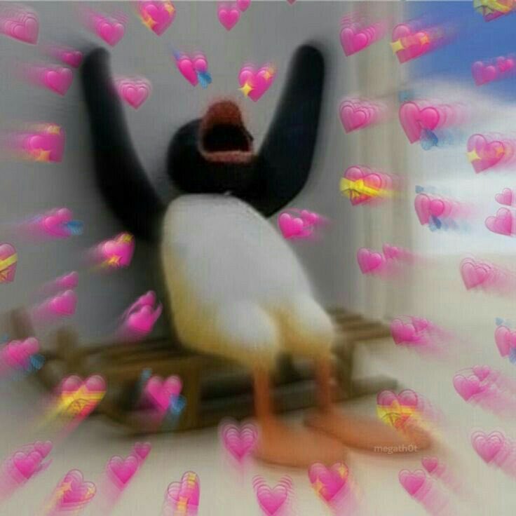 AlanisHall's tweet photo. More of kaz and aaron’s friendship please !!! #loveisland https://t.co/x3K43wAOhr