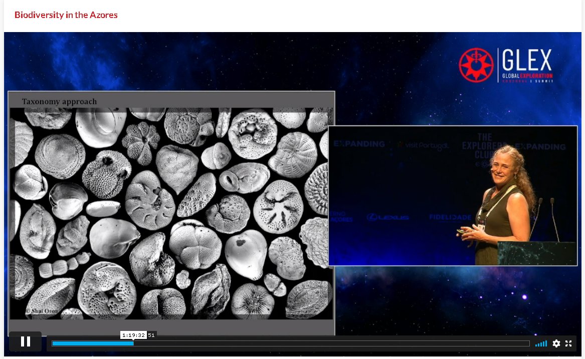 Shai Oron tweet media