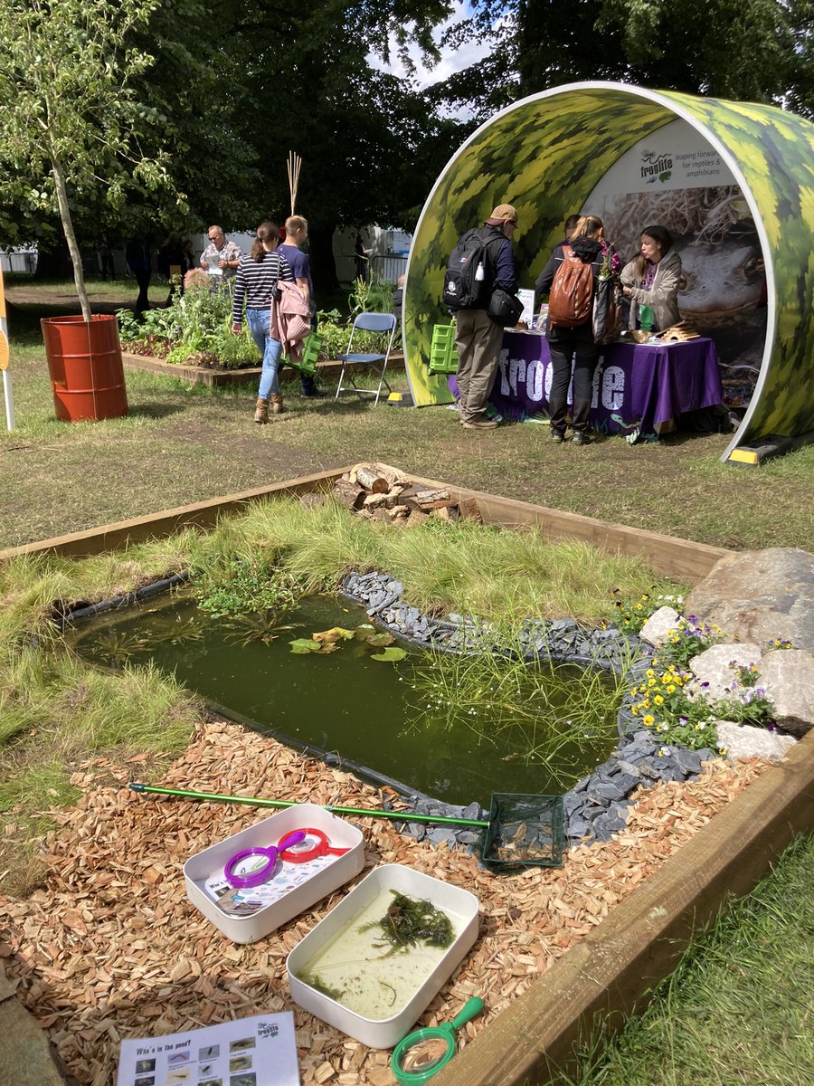 Kate_Bradbury's tweet photo. What a week #RHSHamptonCourtFlowerShow. So many people came to pond dip and learn about ponds and wildlife gardening. Massive love and to @froglifers for keeping me company and answering so many questions on the state of everyone’s frogs! Thanks to @The_RHS for making it happen X https://t.co/TkpJ7H4BJx