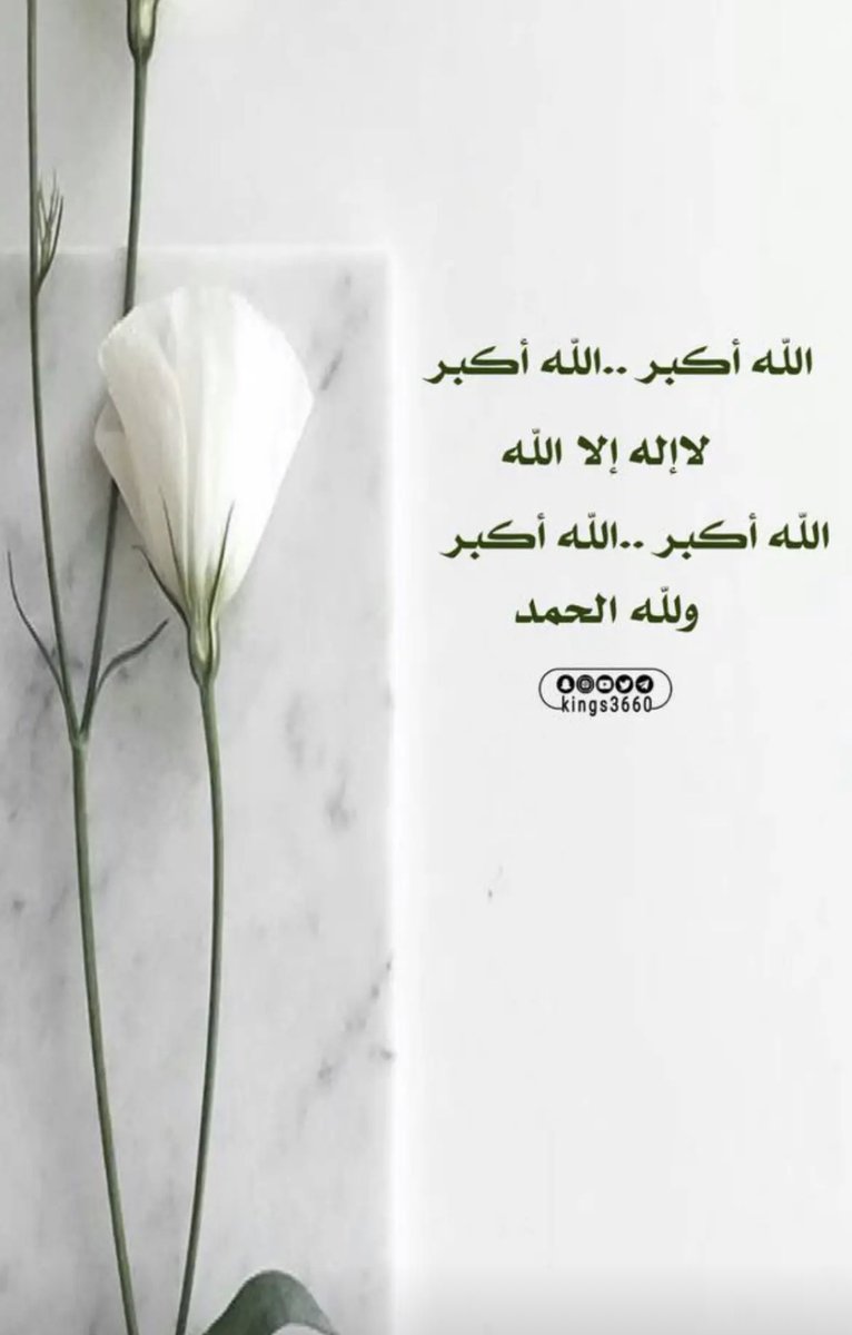 am_lsa tweet picture