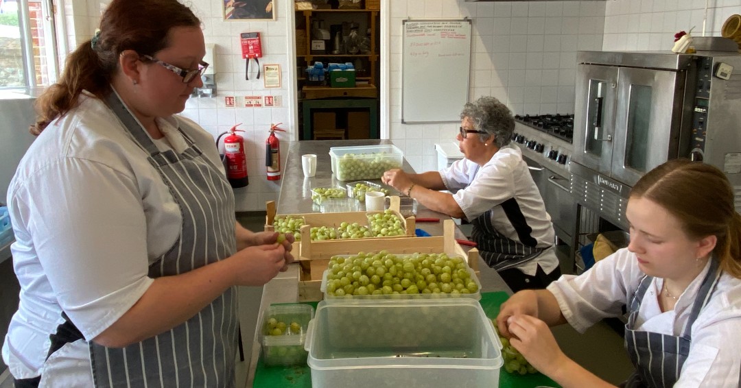 Hopefully you guessed correct, Its Gooseberry Jam, you can see the concentration as they process them by hand ready to cook. Oh did i forget to say they only had 80 punets to do!

#proudlynorfolk #feastnorfolk #sharringtonstrawberries #jammaking #buylocal