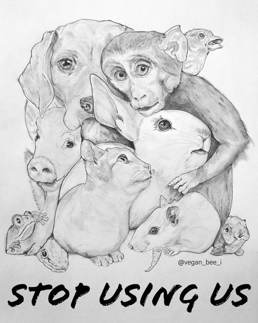 SilverSypitzki's tweet image. Green Purple Art

🛑 STOP USING US 🛑
🎨 vegan_bee_i .
instagram.com/vegan_bee_i
#StopusingAnimals
#AnimalRights
#AnimalLiberation
#SaveAnimals
#GoVegan
#ChangeTheWorld
#GreenPurpleArt
#VeganArt