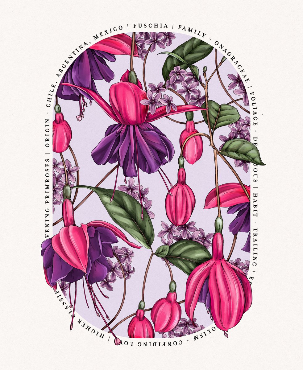littlepatterns's tweet image. Voodoo fuschia - #packagingdesign