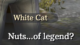 No Context Falcom (@falcom_no) on Twitter photo 