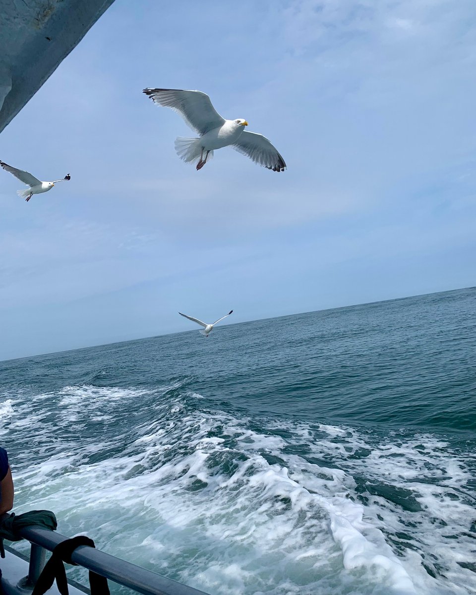 ElliotSeries's tweet photo. According to @noaa , we have explored less than 5% of our oceans. 🌊 🌎  #mondayfacts
*
*
*
*
*
#environmentalbooks #naturebooks #ecobooks #climateactivism #greenreading #climateaction #environmentalist #savewater #waterpollution https://t.co/HjPAJmfa6Q