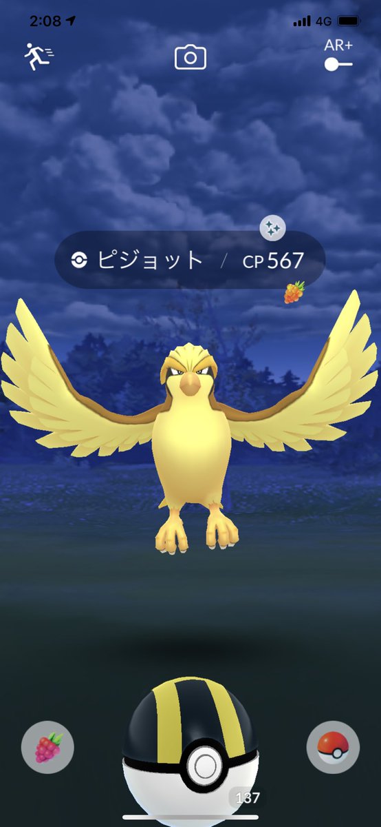 ポケモンgo ピジョットの色違い 入手方法と実装状況 攻略大百科 ポケモンgo ピジョットの色違い 入手方法と実装状況 攻略大百科