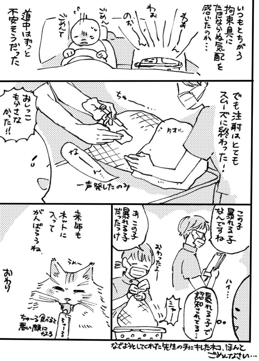 猫の日記です 