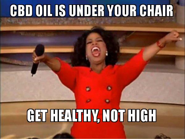 greenheart_cbd's tweet photo. OK so it isn't under your chair... But it is available at
👉https://t.co/wtVpYiIrZD👈
GET SHOPPING 🛍
#GetHealthyNotHigh #YouHeardOprah #GetShopping #greenheartcbd #hemp #CBD #sustainable https://t.co/DYQZLRgtZz