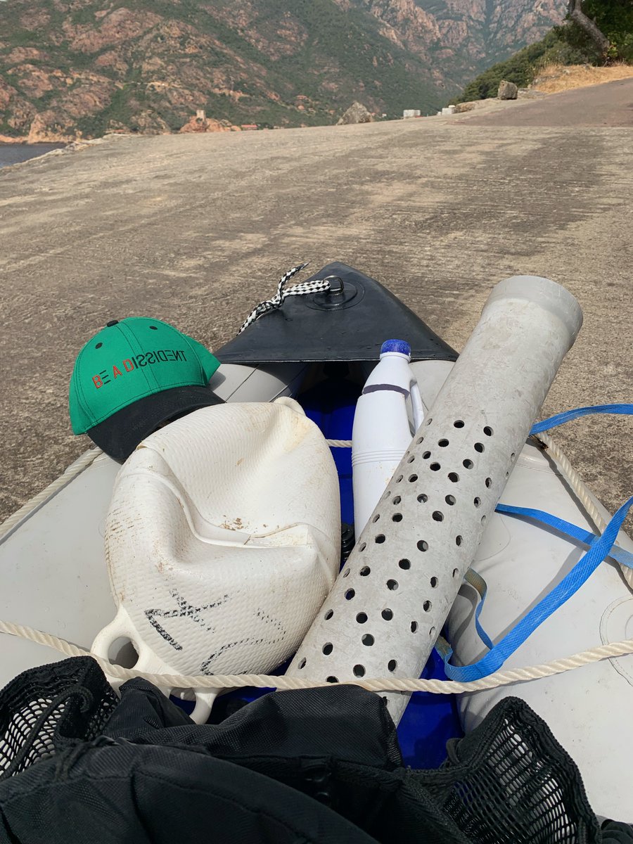 Be A Dissident Esport tweet media