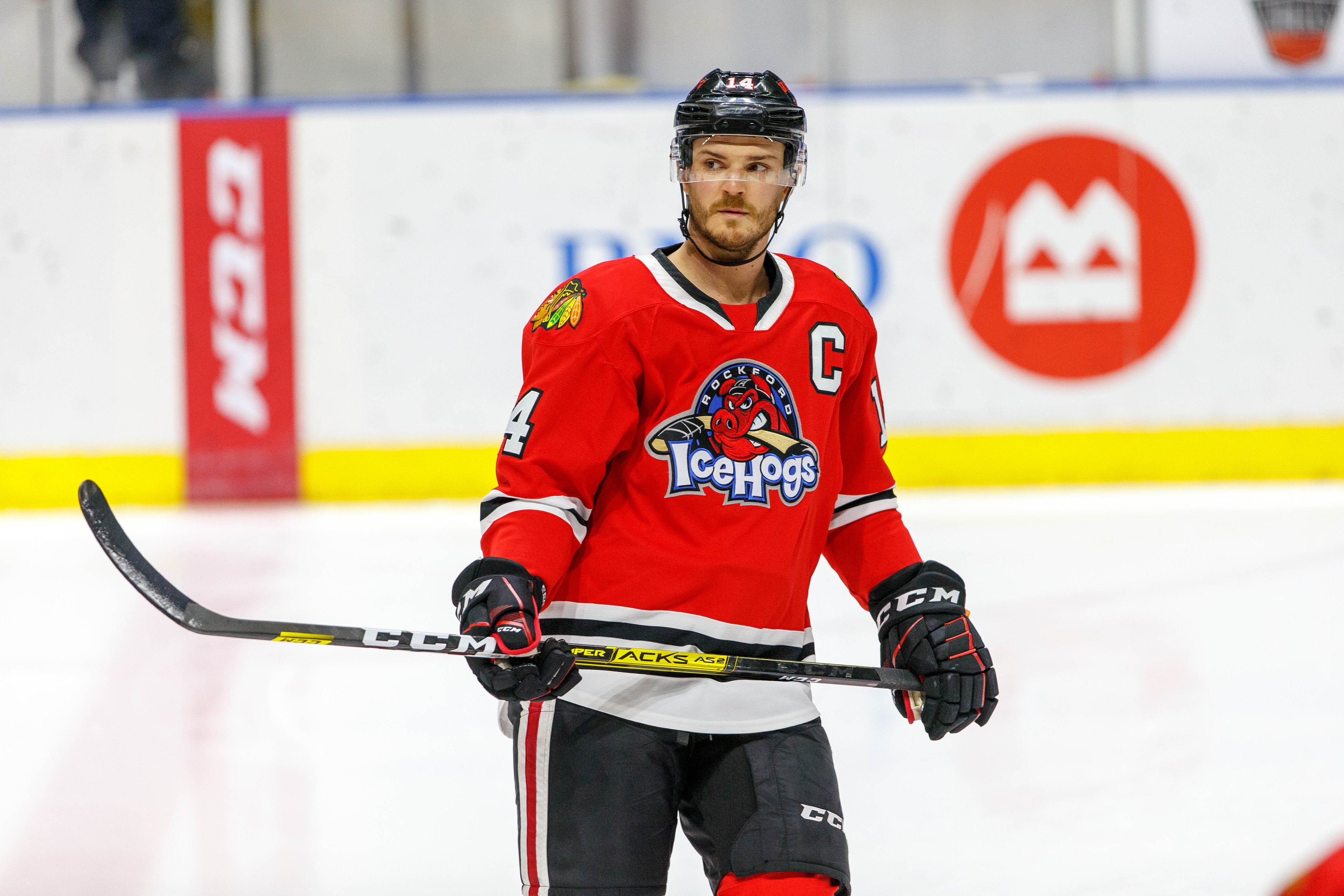 Rockford IceHogs on X: ICYMI, the 2022-23 schedule came out this