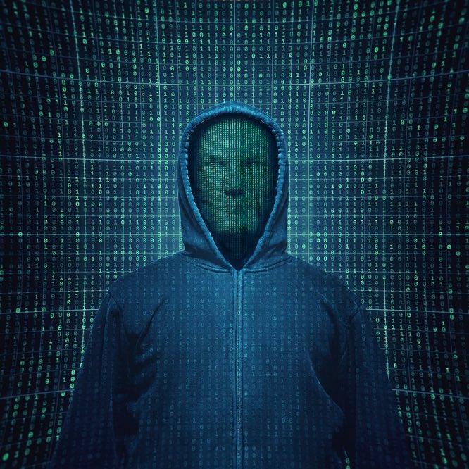 garrett rowley (@garrettrowley) on Twitter photo 