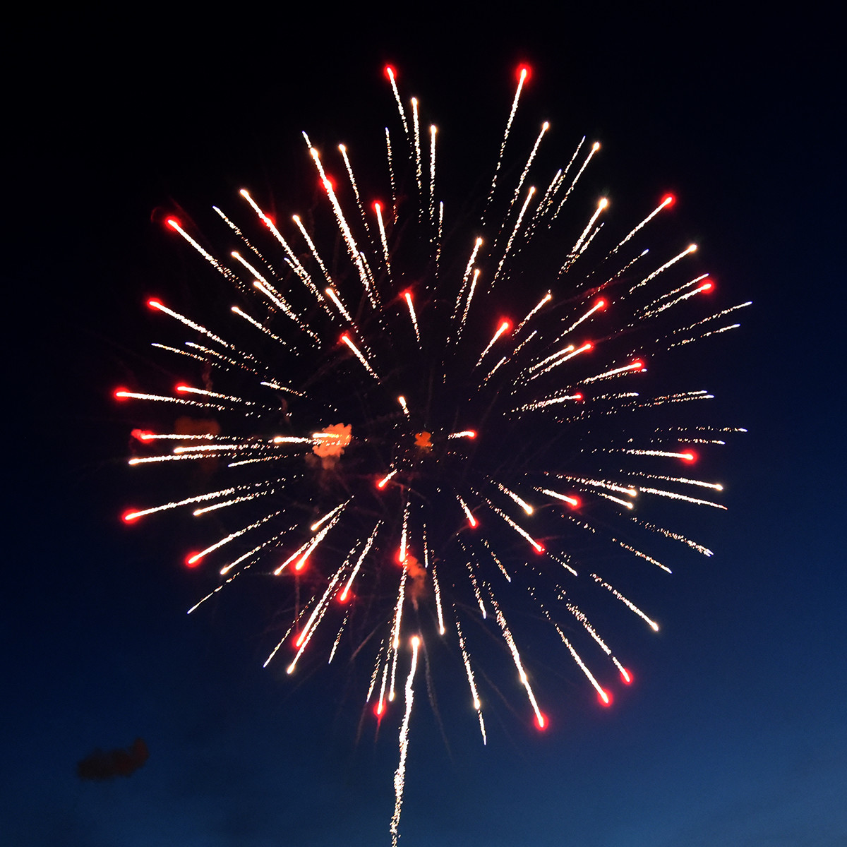 Paleopix Creative Studios Paleopixsgf Twitter