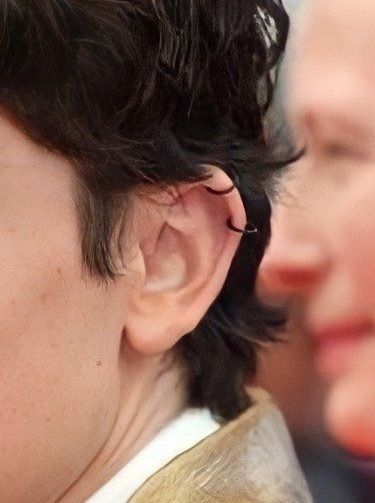 THE EARRINGS I'M LOSING MY MIND