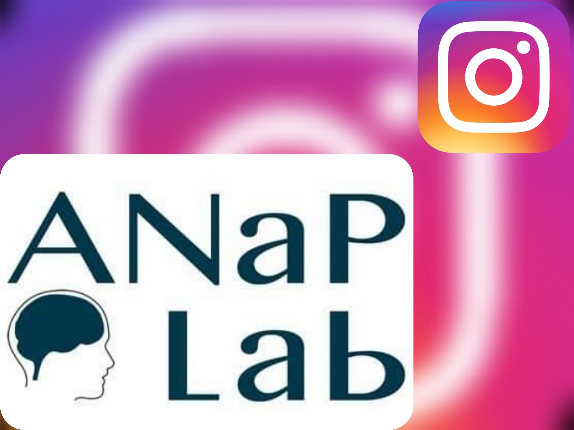 Anap Lab Anap Lab Goes Instagram You Can Now Find Us On Instagram As Well Consider Following If You Want To Learn More About The Lab And Our Current Research