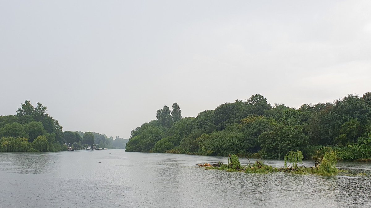 CaptainQuack tweet media