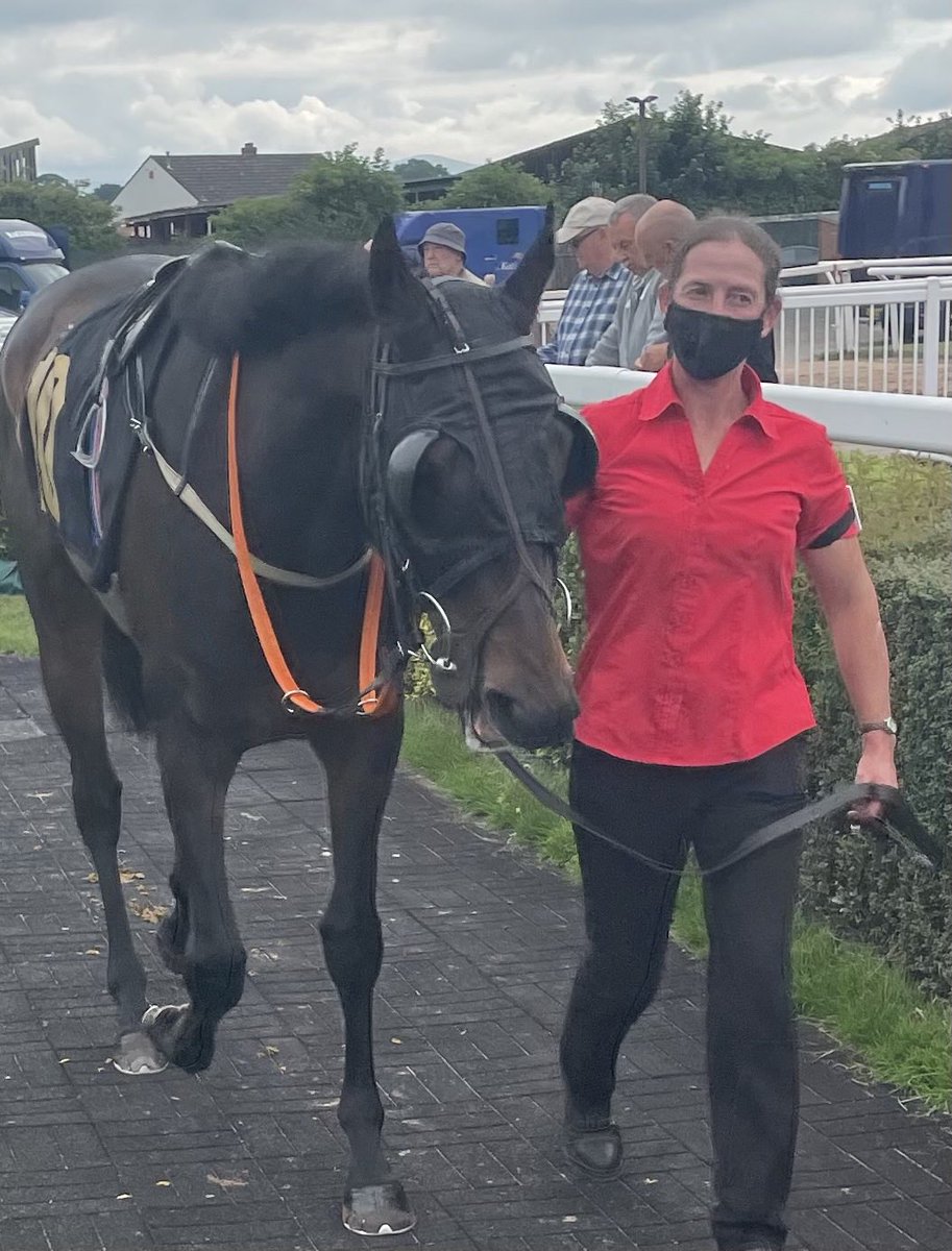 TheHorsesMout15's tweet image. Desert Cat has an entry for Hamilton on Thursday. There are still some shares left at £99 for 12 months with nothing else to pay for. All prizemoney shared. thehorsesmouthracingclub.co.uk
#TheHorsesMouthRacingClub #racehorseownership