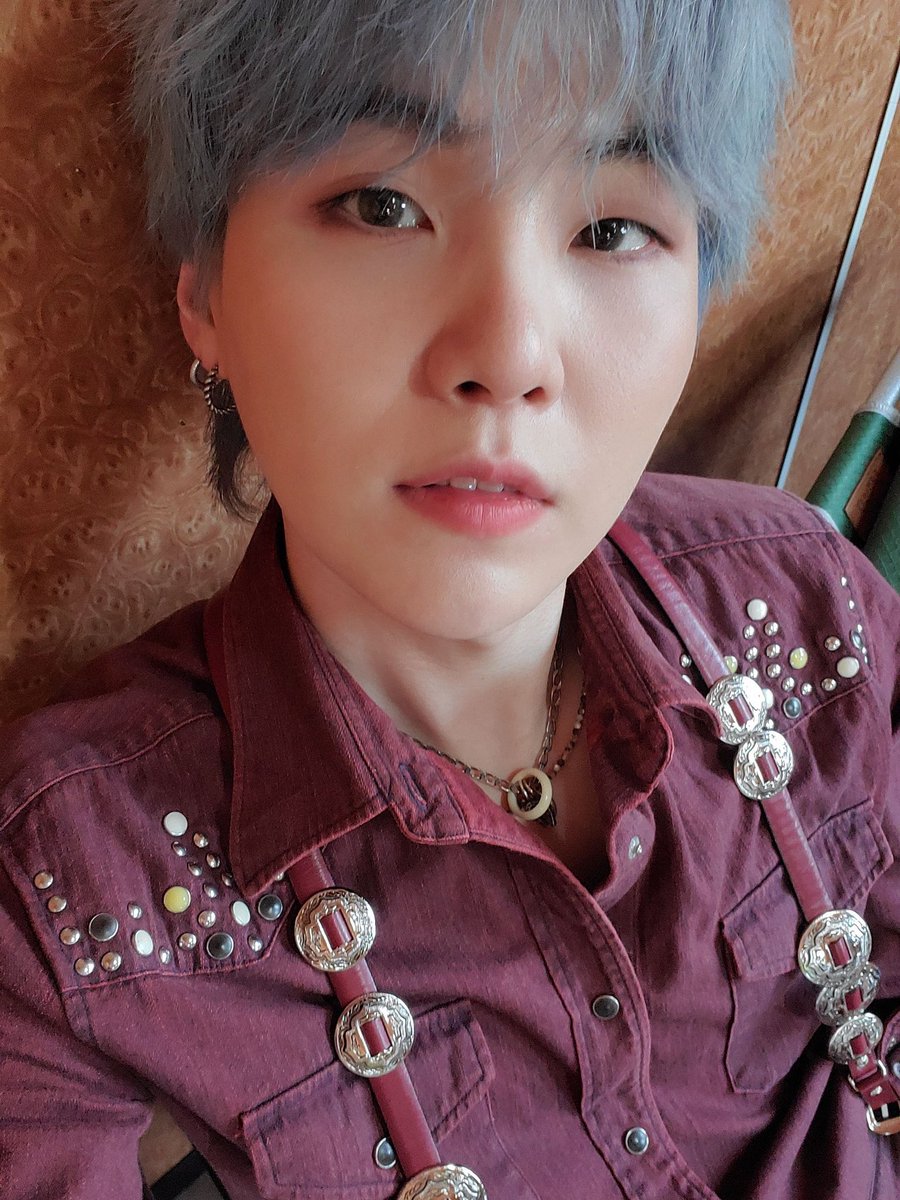 🐨🐱 tweet media