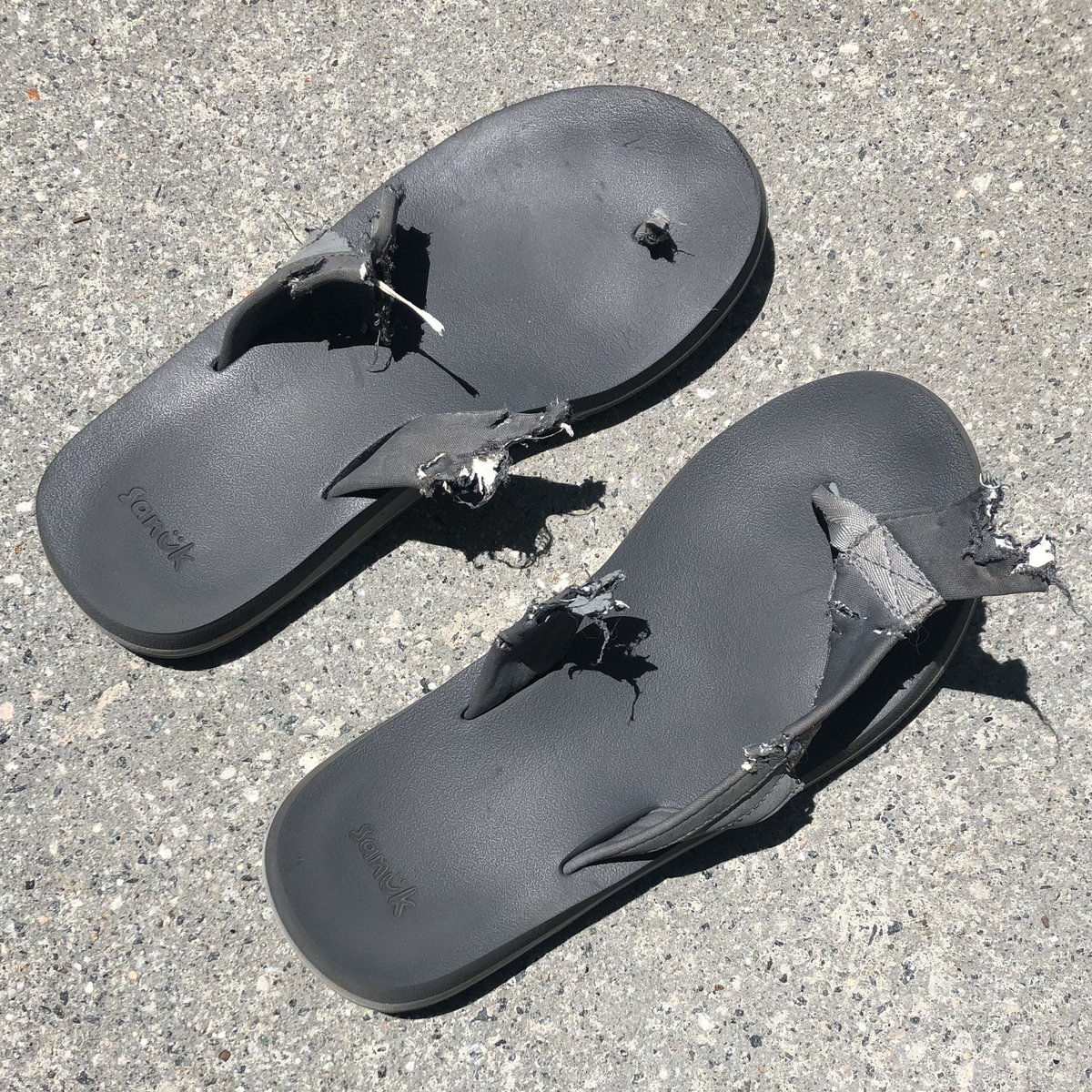Chris Harrington (@chrisharrington) on Twitter photo New dog 🐶 + a new pair of my favorite <a href="/SanukFootwear/">Sanük Footwear</a> flip flops 🩴 = All I can do is laugh it off 🤪
If you don’t know this brand…you should. Comfortably cool footwear. New dog 🐶 + a new pair of my favorite <a href="/SanukFootwear/">Sanük Footwear</a> flip flops 🩴 = All I can do is laugh it off 🤪
If you don’t know this brand…you should. Comfortably cool footwear.