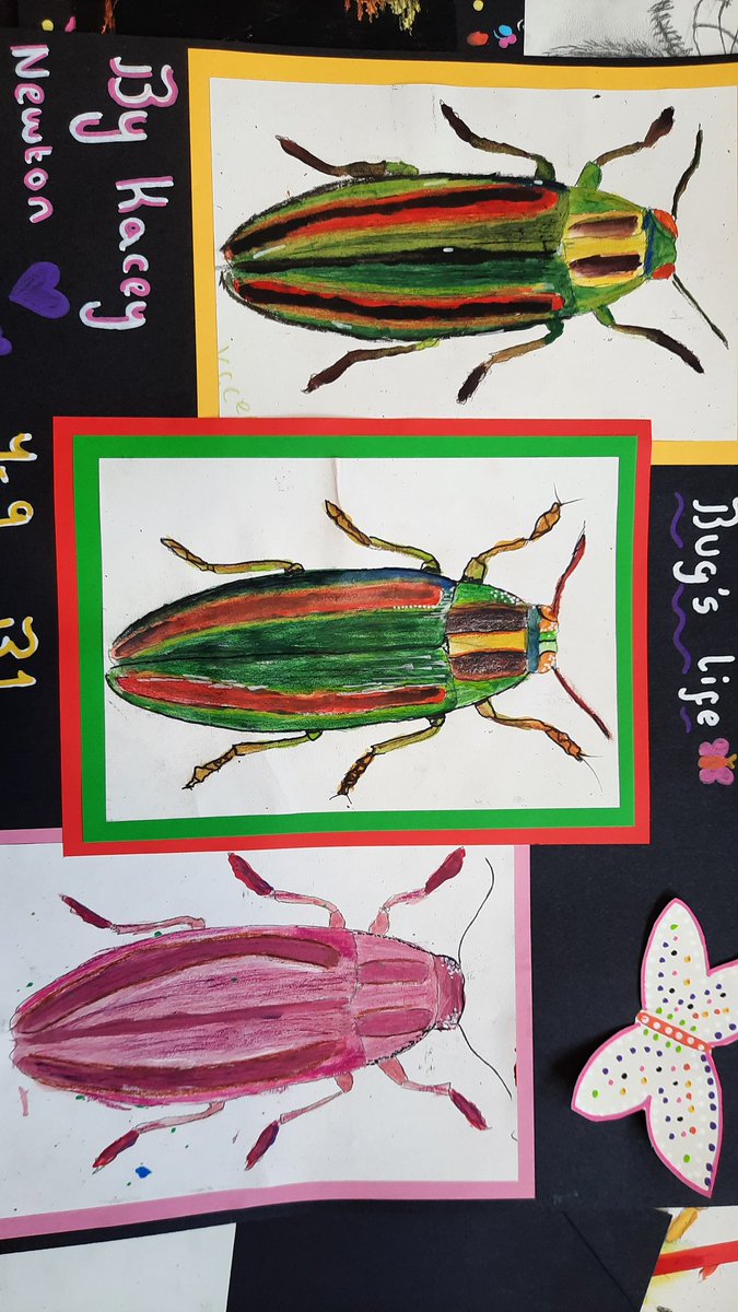 ArtGregson's tweet photo. Final lesson with 9s today creating their display boards for the bugs project. #officialnusa #amazingnusa #bugart #mixedmedia #BeKind https://t.co/B3wbq2IfcK