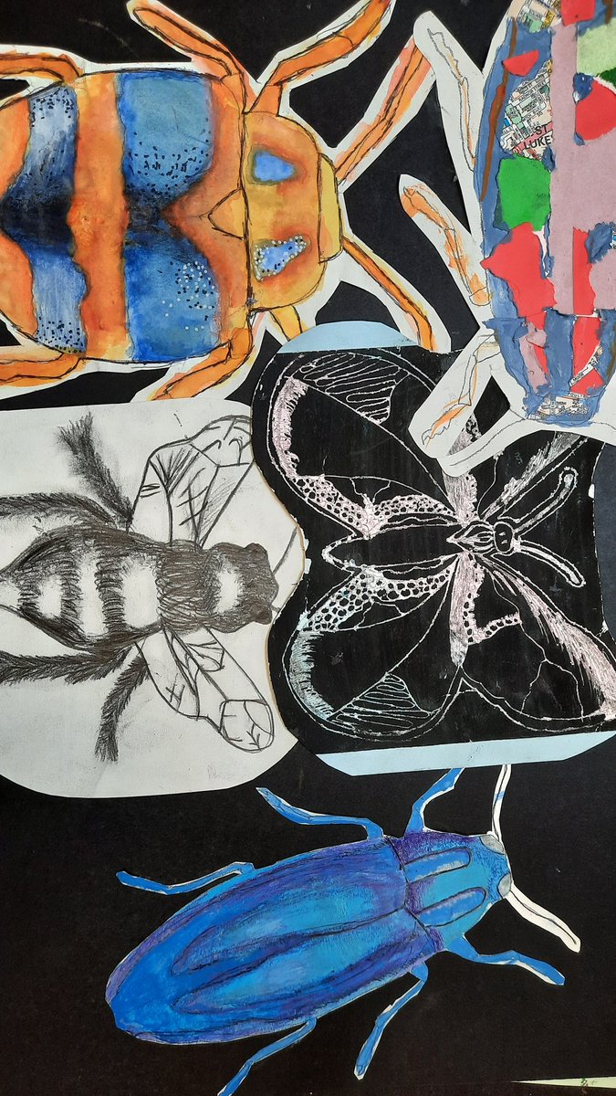 ArtGregson's tweet photo. More Bug Art from year 9. #officialnusa #Bugart https://t.co/2ZyXSvlYAn