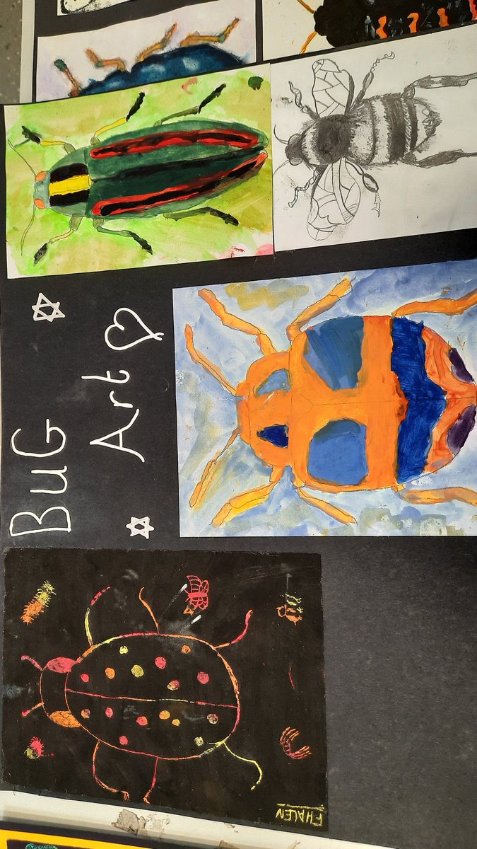 ArtGregson's tweet photo. More Bug Art from year 9. #officialnusa #Bugart https://t.co/2ZyXSvlYAn
