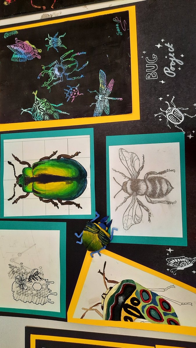 ArtGregson's tweet photo. Outstanding work and presentation skills from Nusa year 9s. #officialnusa #bugart #GregsonsArtarmy https://t.co/x0FjdSP72S