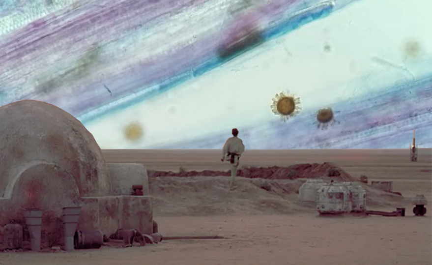 JamesWh70887077's tweet image. A long time ago on a microscopic world far, far away...