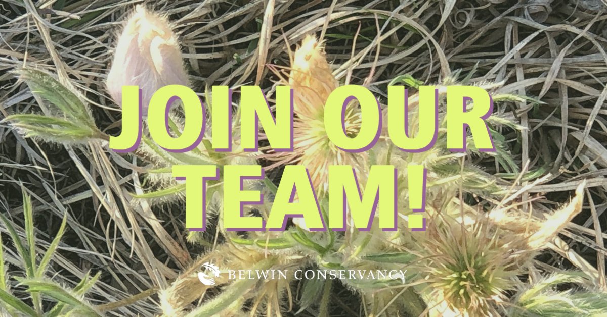 We’re hiring a part-time Development Assistant, a vital position supporting Belwin’s fundraising efforts as we begin a capital campaign. Get the complete job description and apply by July 21!

belwin.org/wp-content/upl…