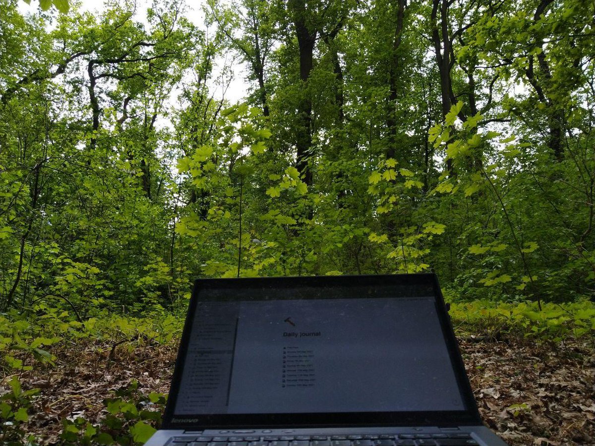 Being caressed by the forest, with its sounds, smells and colours, while also working.
One thing doesn't exclude the other.
Working surrounded by green life imbue actions with aliveness and focus to what matter.