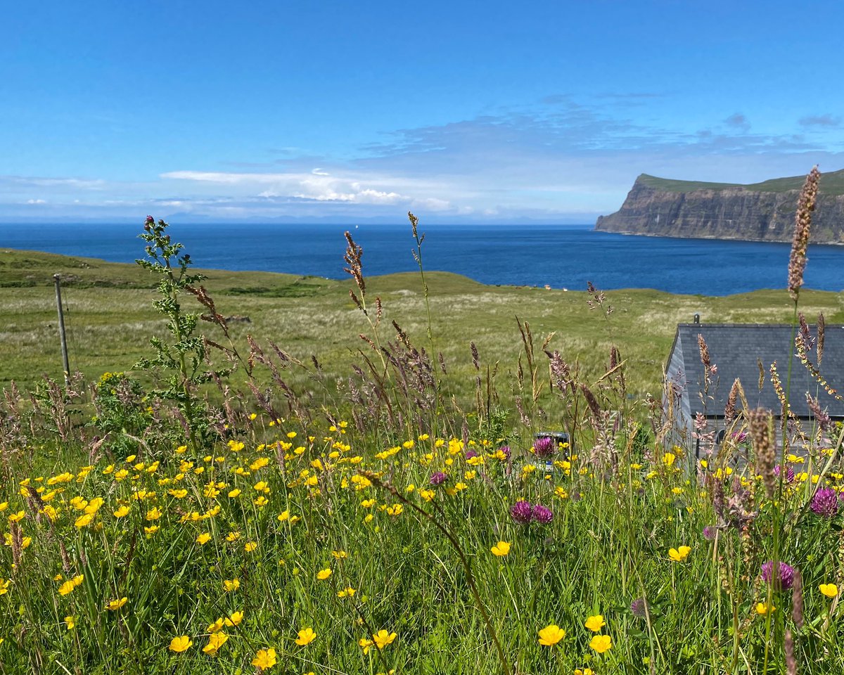 The island is covered in wildflowers and it’s glorious. #harloshwoodh #woodhouse #skye #isleofskye #scotland #summerholidays #july