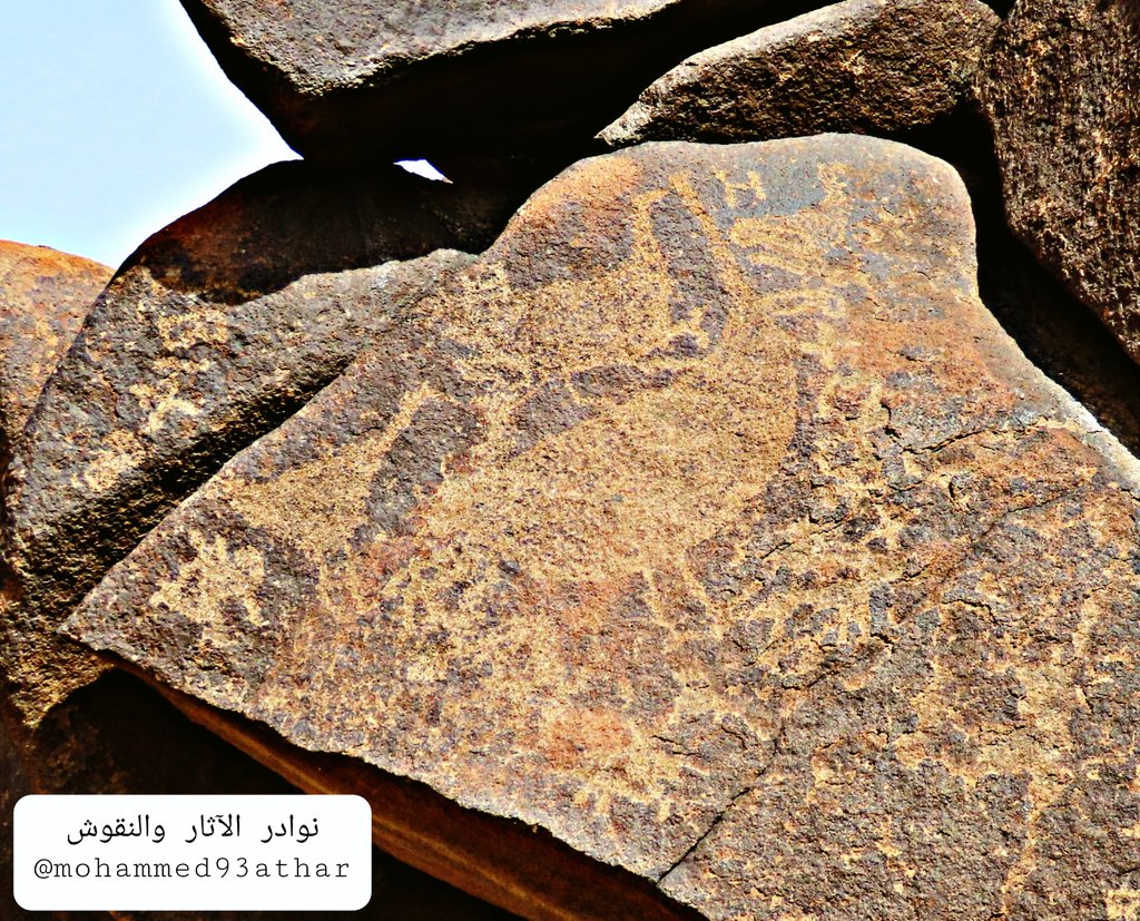 mohammed93athar's tweet photo. #رسومات و #نقوش عربية قديمة من أودية #المدينة_المنورة https://t.co/wckRdyIclE