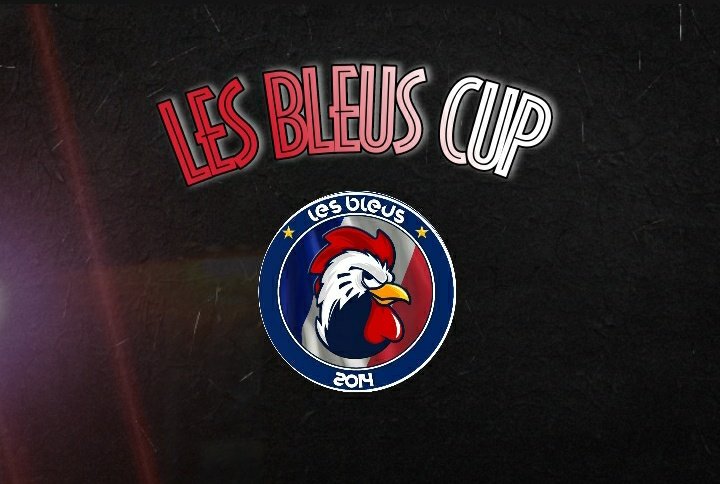 LES BLEUS FC VFO tweet media