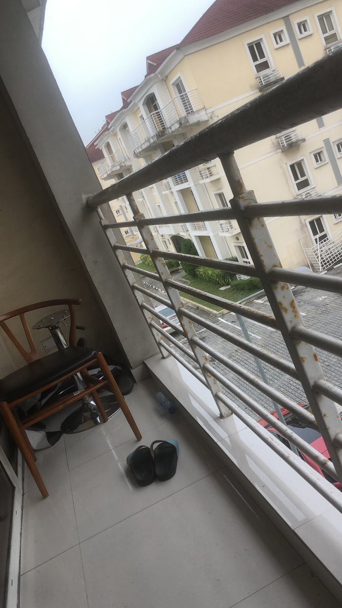 king-rex (@rex81179767) on Twitter photo 