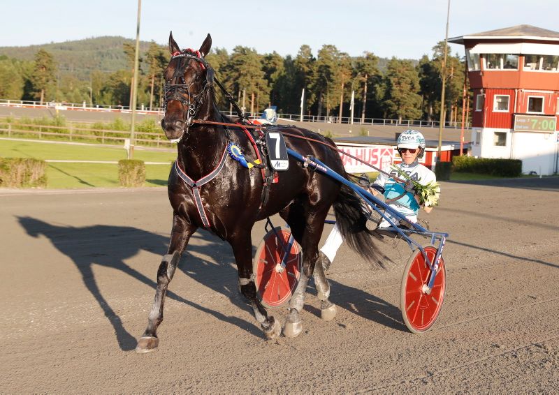 Rättvik 12Juli
Lopp: 6
Segrare: Highway To Hill/Örjan Kihlström
Tränare: Reijo Liljendahl
Ägare: Ravitalli H Laakkonen Oy &amp; ML Stable Oy
Vårdare: Pernilla Sundling
Segertid: 1.13,3
Stort grattis! #dalatravet #trav #rättvik#ägahäst #älskatrav