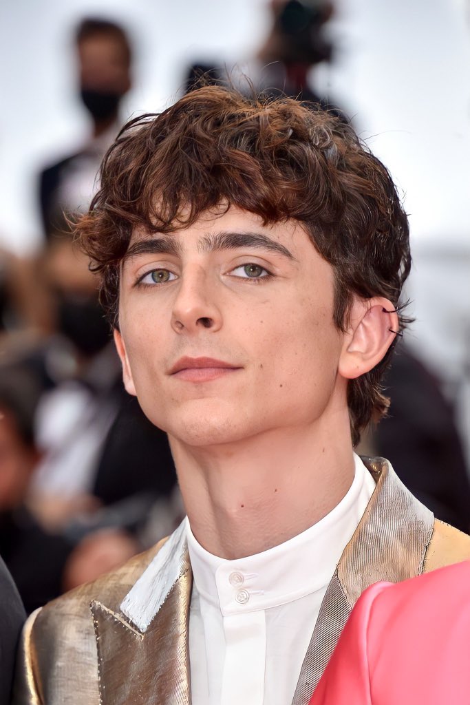 tchalametupdate's tweet photo. More of Timothée Chalamet on the red carpet at Cannes Film Festival! #Cannes2021 https://t.co/GvWZpQzVYa