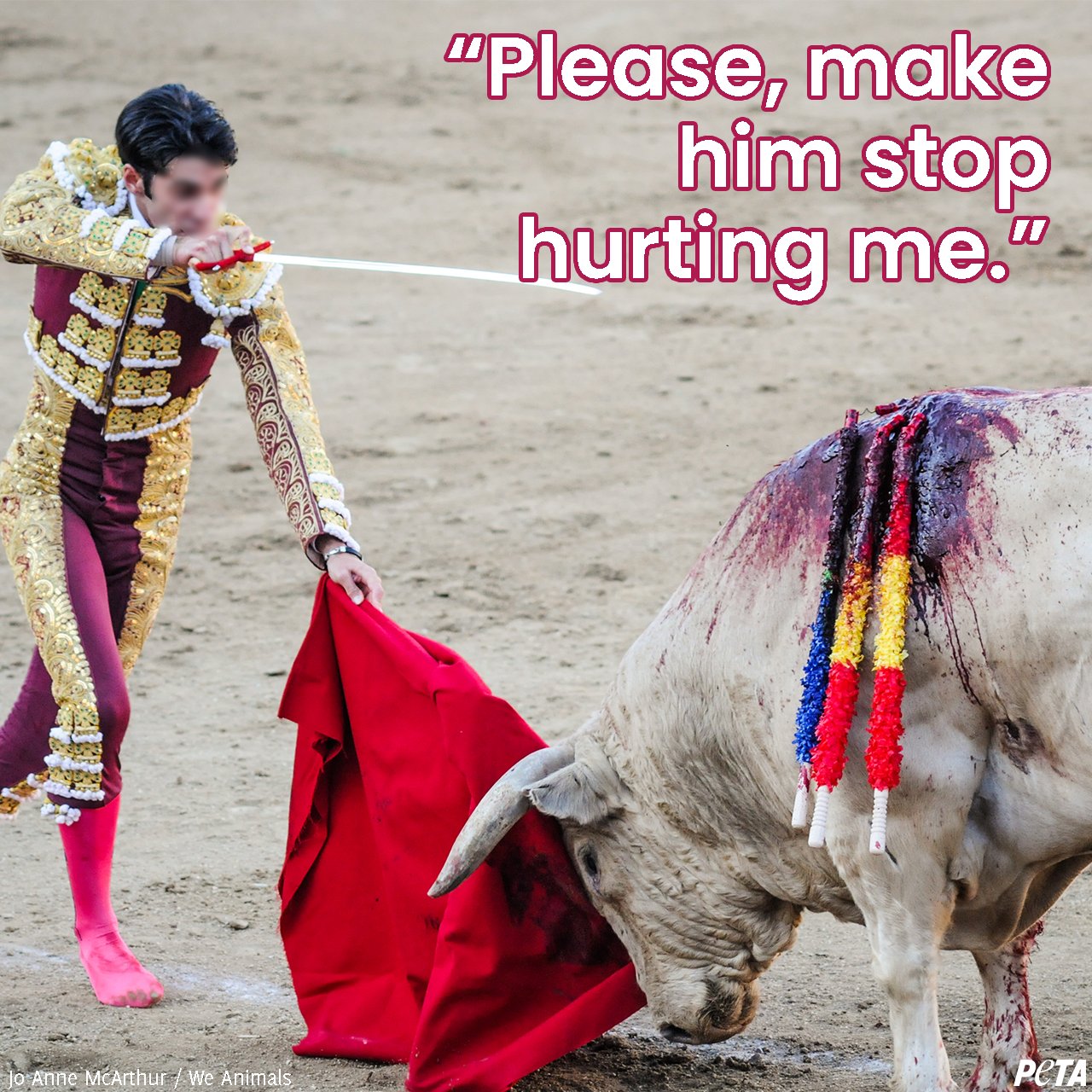 PETA on Twitter: PETA on Twitter: