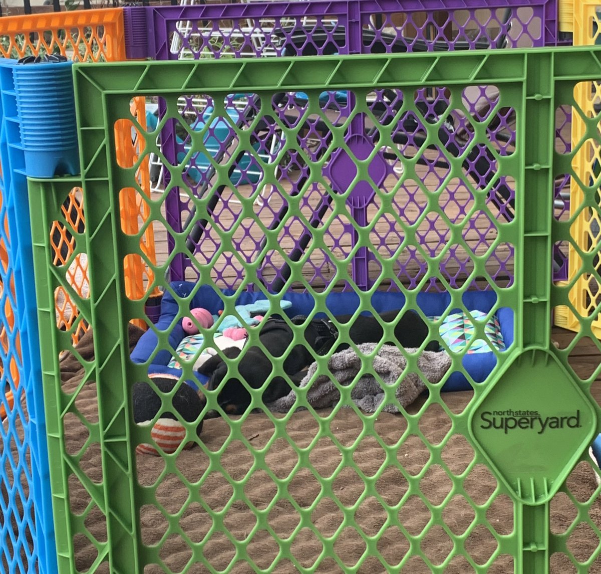 GL_MKE's tweet photo. Also, like any new parent - I believe in the power of the play pen. https://t.co/FlmLiiawYC