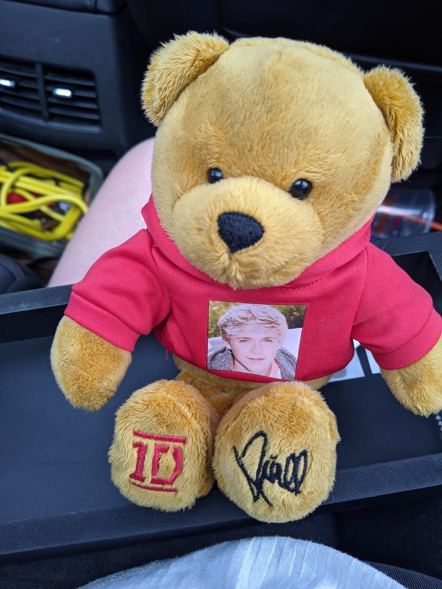 MadelineBiever's tweet photo. @NiallOfficial just purchased this for $5 at an antique store, so glad to own this important historical artifact 🧸 https://t.co/nav5qyW4cR