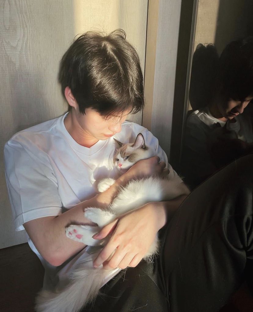 paradisefaIIen's tweet photo. [@𝐲𝐨𝐧𝐤𝐞𝐫𝐡𝐞𝐚𝐯 — conta principal]

kit kats 🐱💕 https://t.co/9NgbUkUwOH